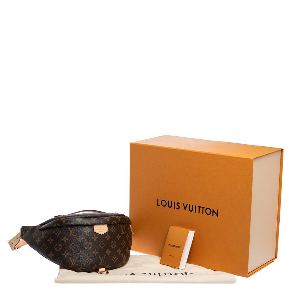 Louis Vuitton Monogram Canvas Bumbag MM Belt Bag 5