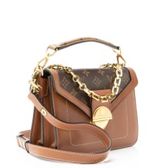 Louis Vuitton Monogram Canvas Calfskin Biface Shoulder Bag