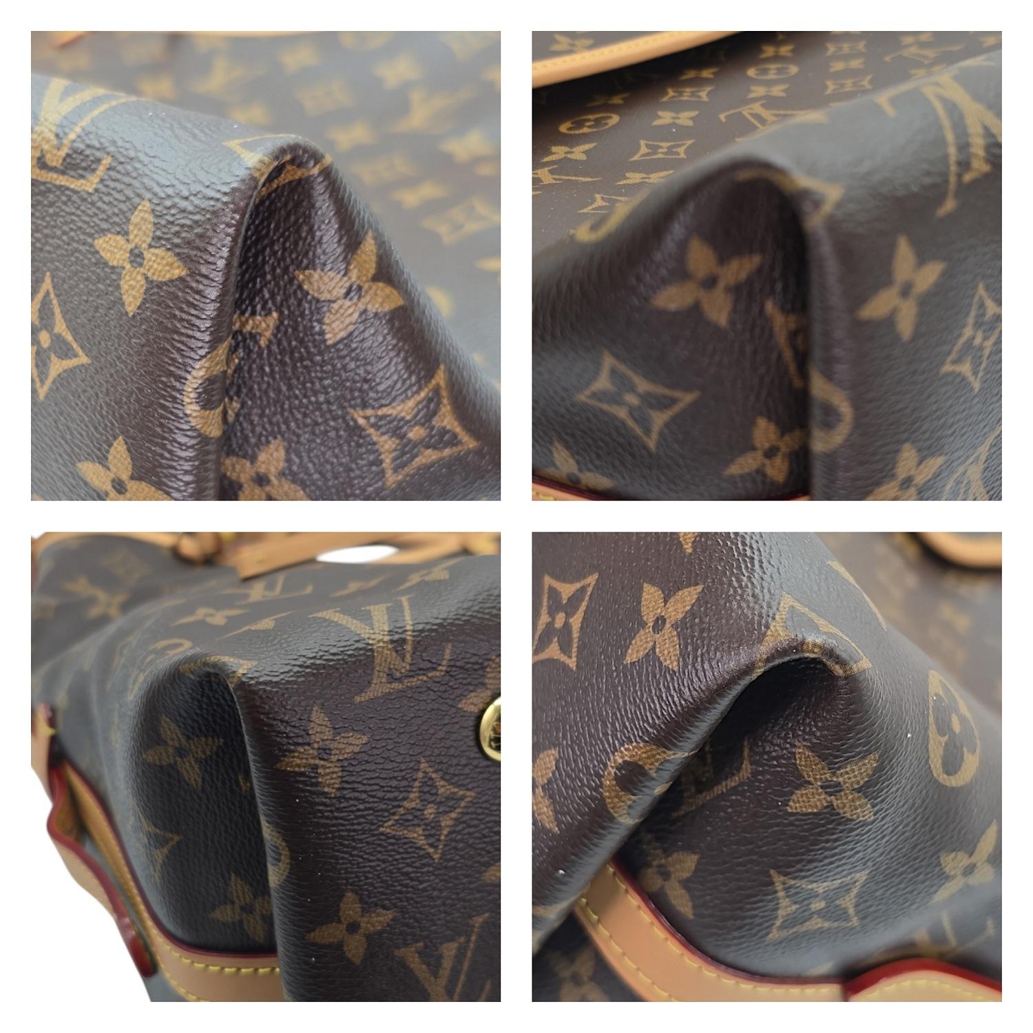 Louis Vuitton Monogram Canvas CarryAll MM Hobo 1