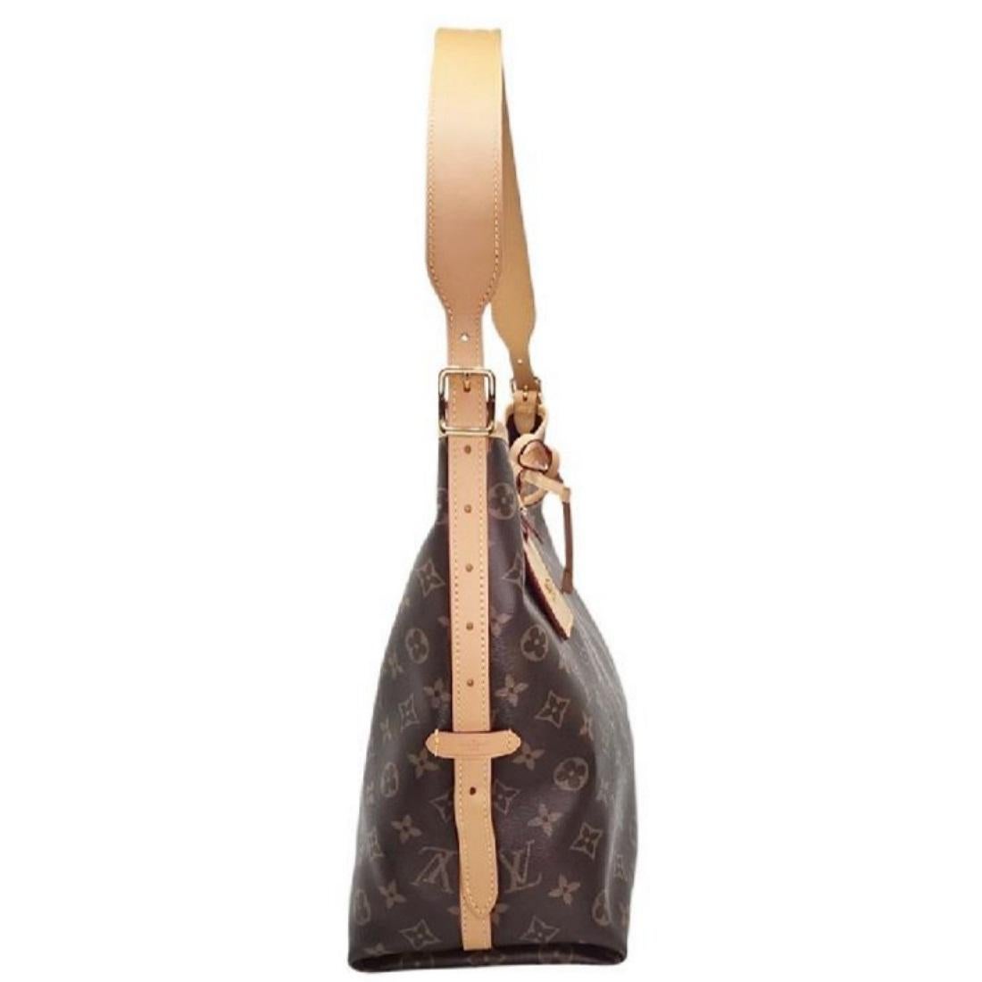Louis Vuitton Monogram Canvas CarryAll MM Hobo 2