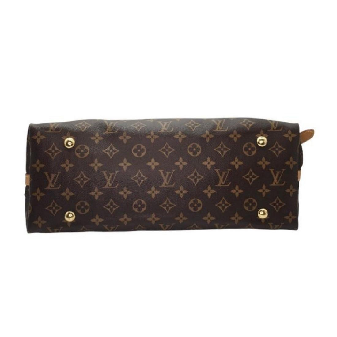 Louis Vuitton Monogram Canvas CarryAll MM Hobo 4