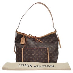 Louis Vuitton Monogram Canvas CarryAll MM Hobo