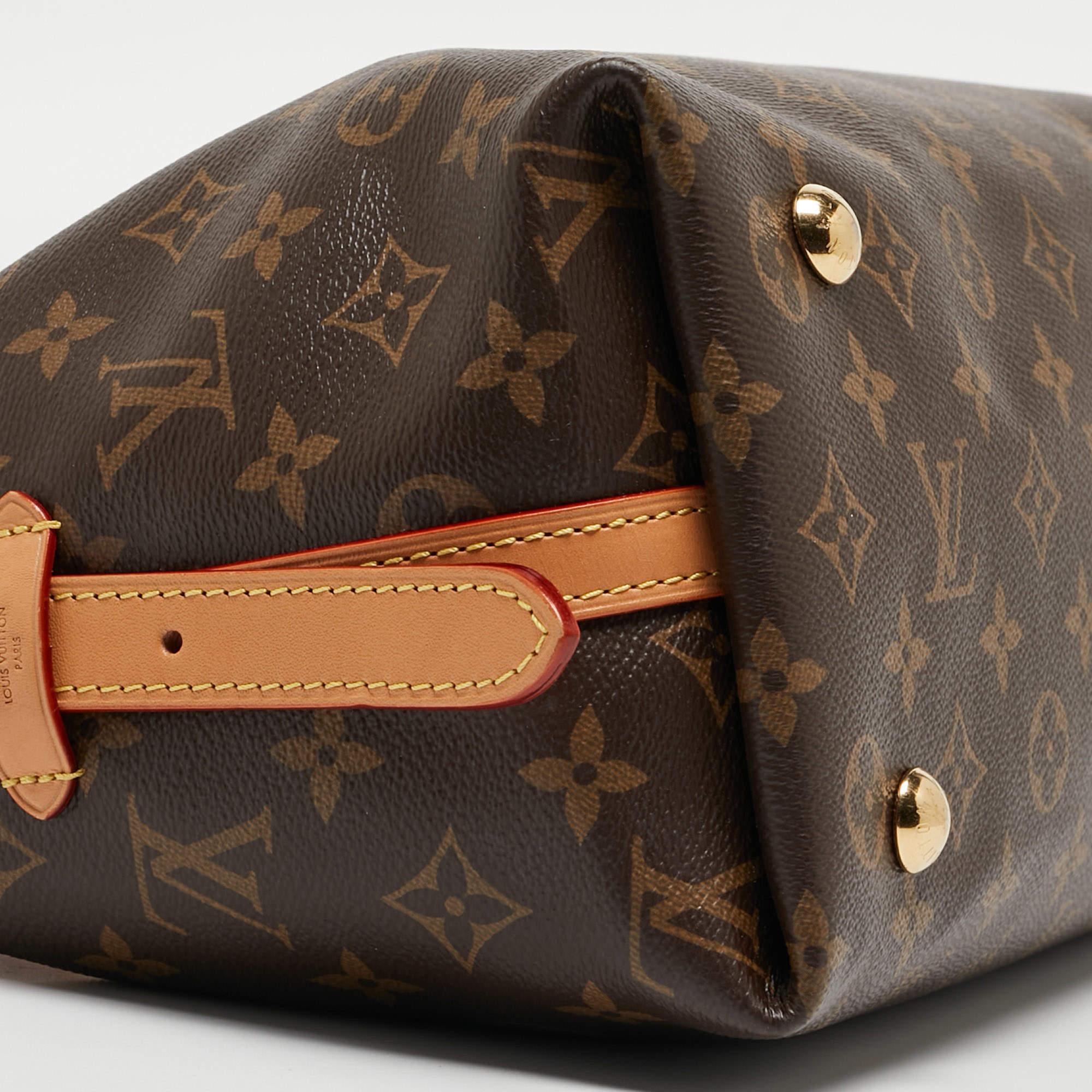 Louis Vuitton Monogram Canvas CarryAll PM Bag For Sale 9