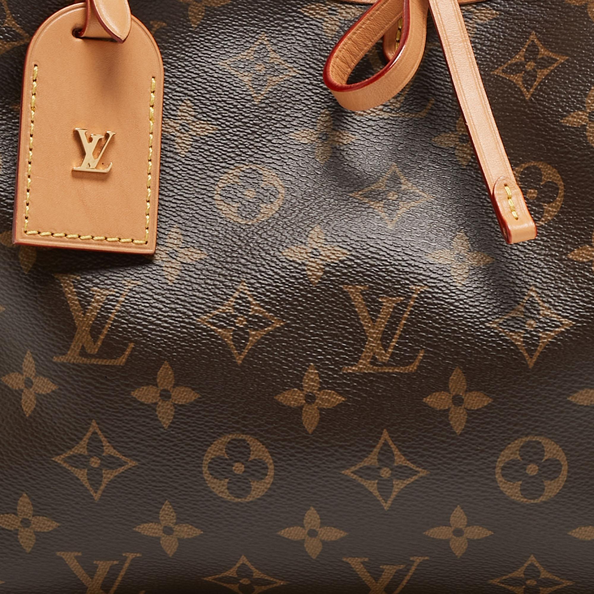 Louis Vuitton Monogram Canvas CarryAll PM Bag 10