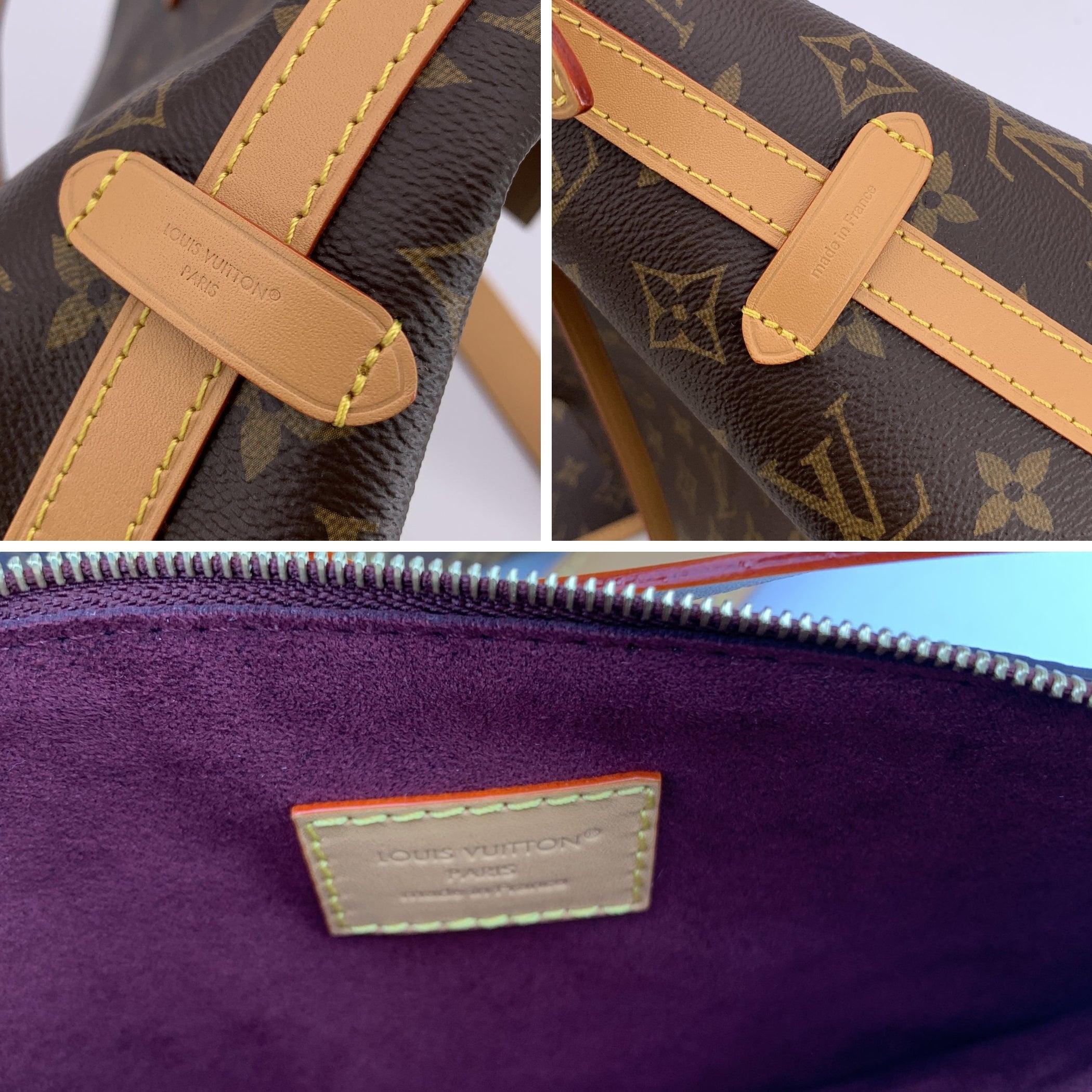Louis Vuitton Monogram Canvas CarryAll PM Hobo Shoulder Bag 1