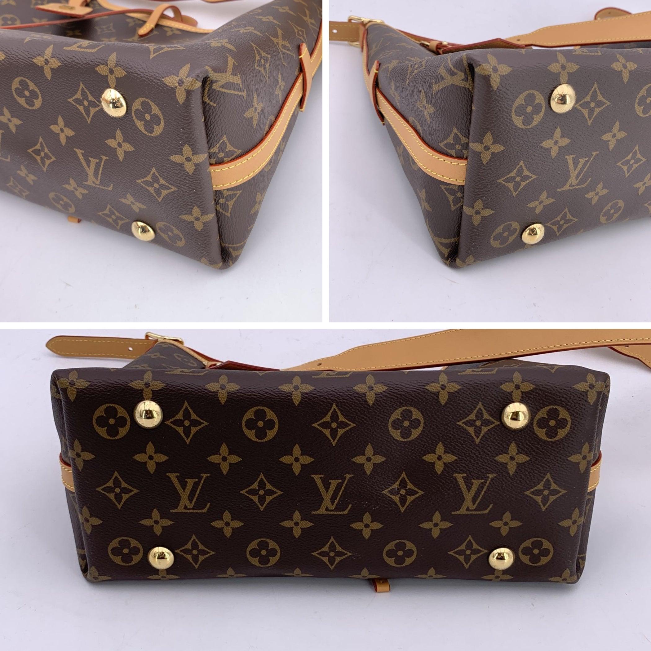 Louis Vuitton Monogram Canvas CarryAll PM Hobo Shoulder Bag 2
