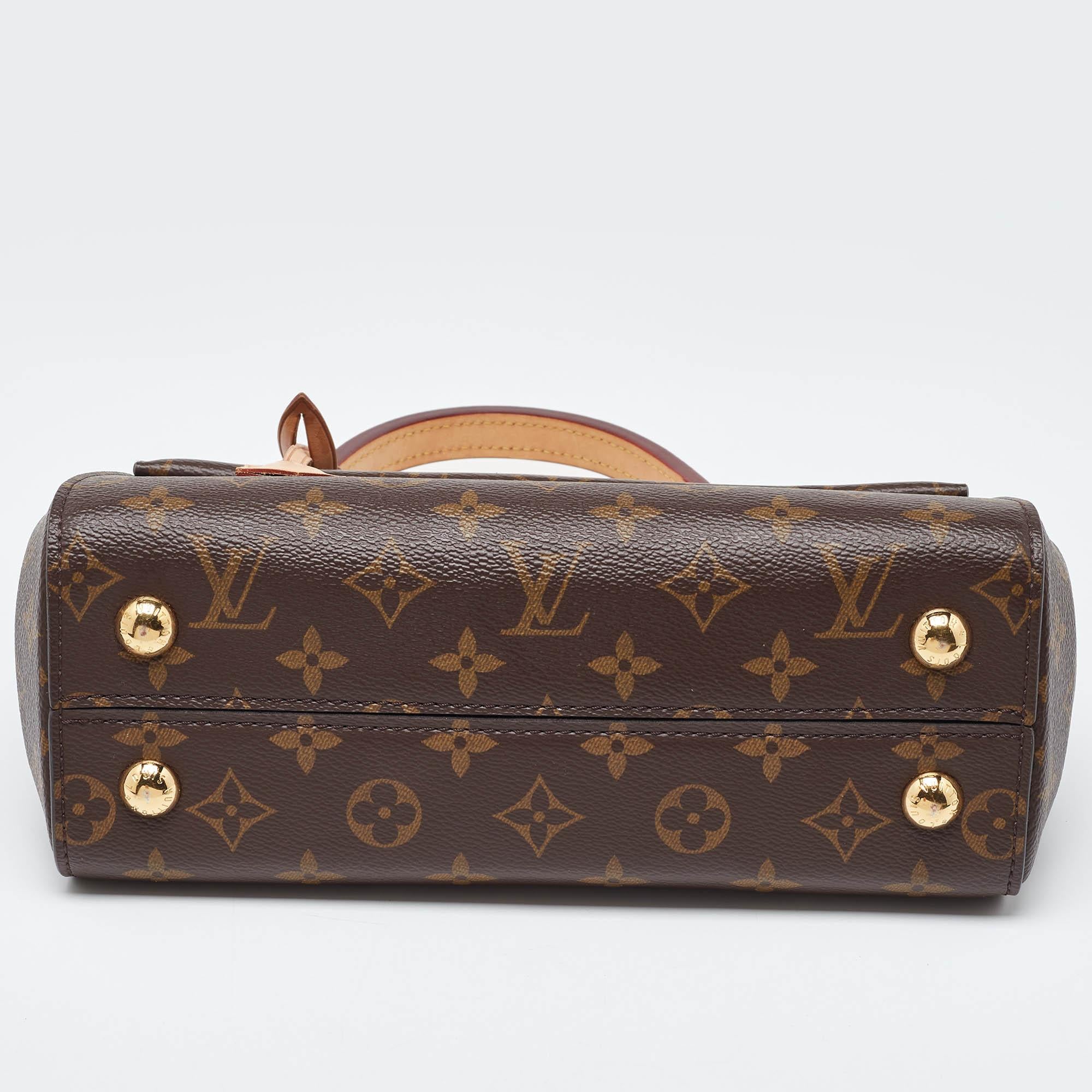 Louis Vuitton Monogram Canvas Cluny BB Tasche 2