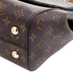 Louis Vuitton Monogram Canvas Cluny MM Bag