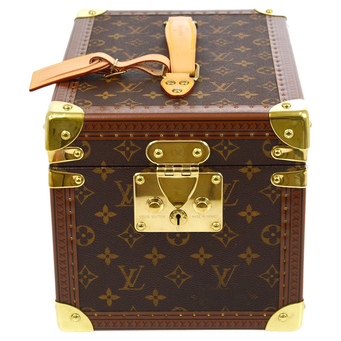 Louis Vuitton Bags & Cases