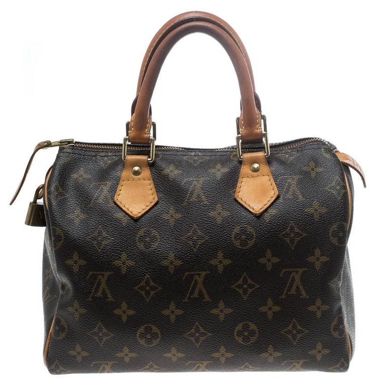 louis vuitton leather paint