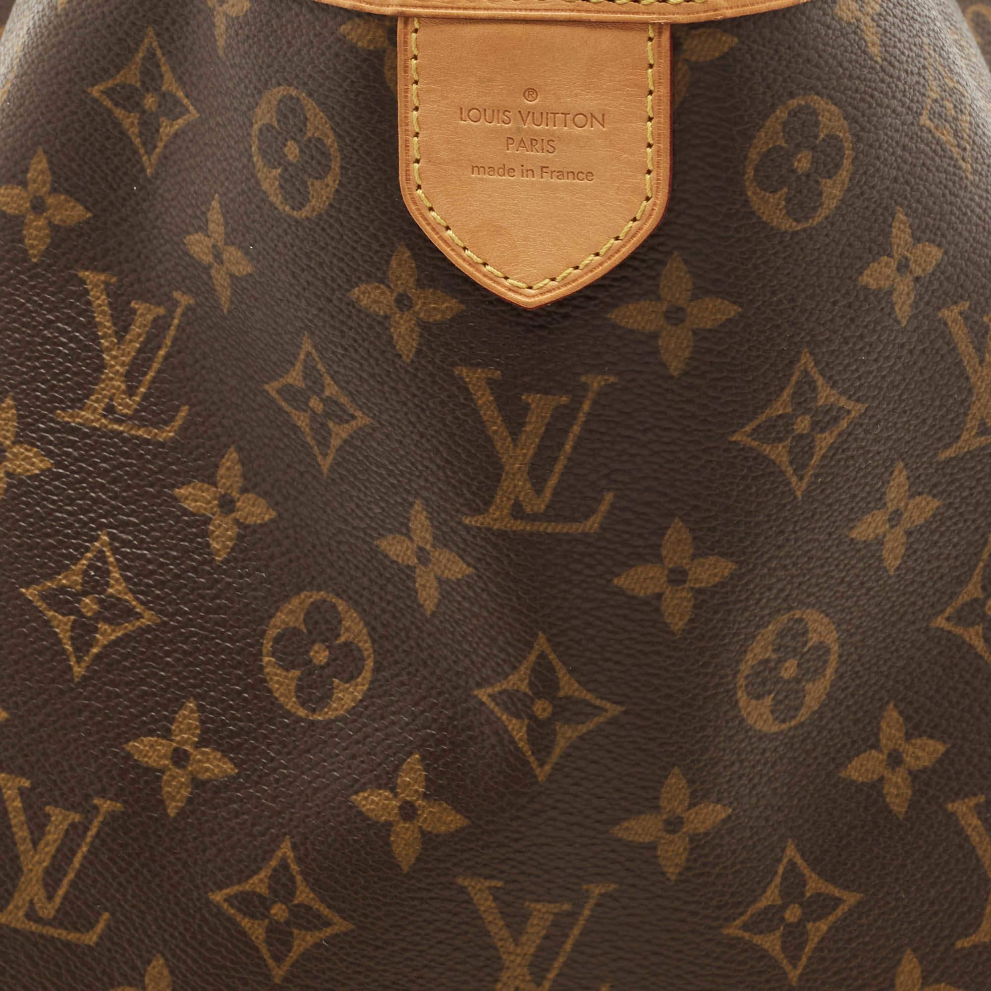 Louis Vuitton Monogram Canvas Delightful MM Bag 14