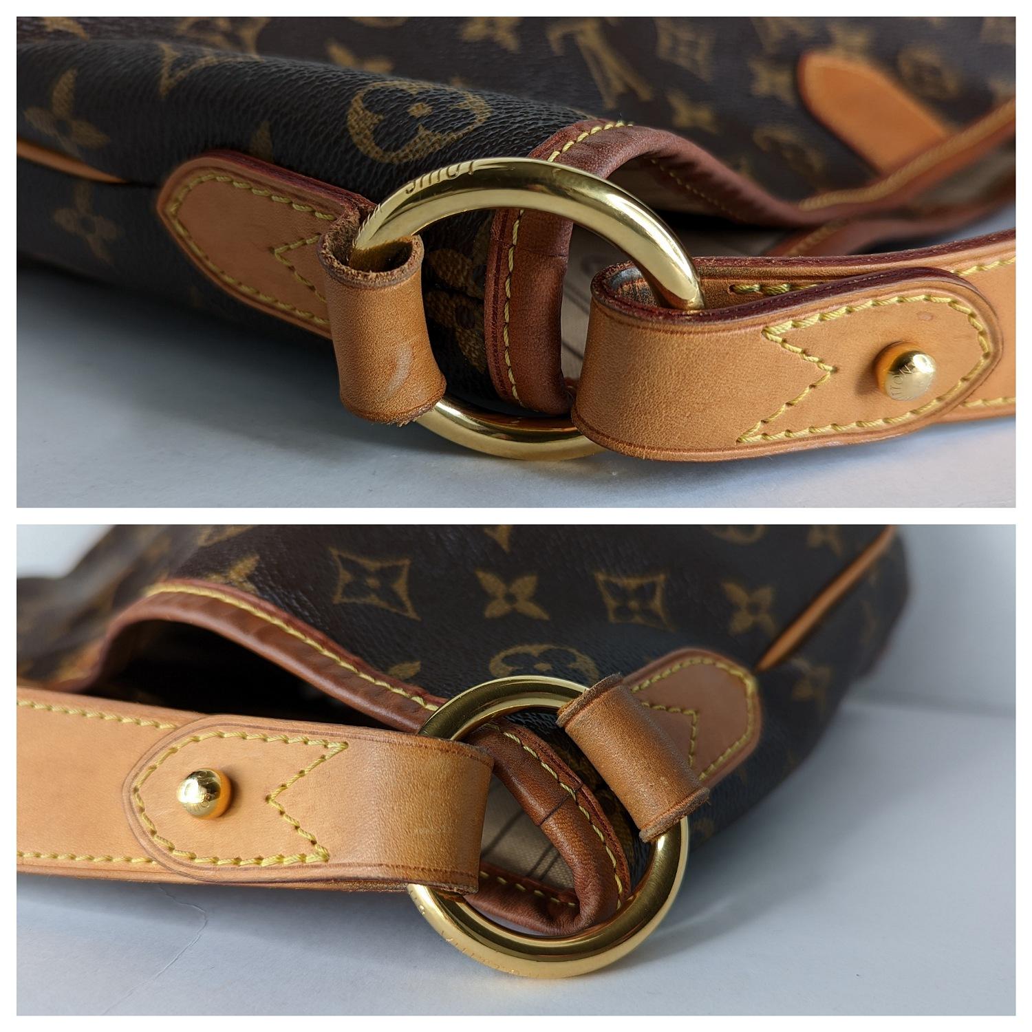 Louis Vuitton Monogram Canvas Delightful MM Hobo 4