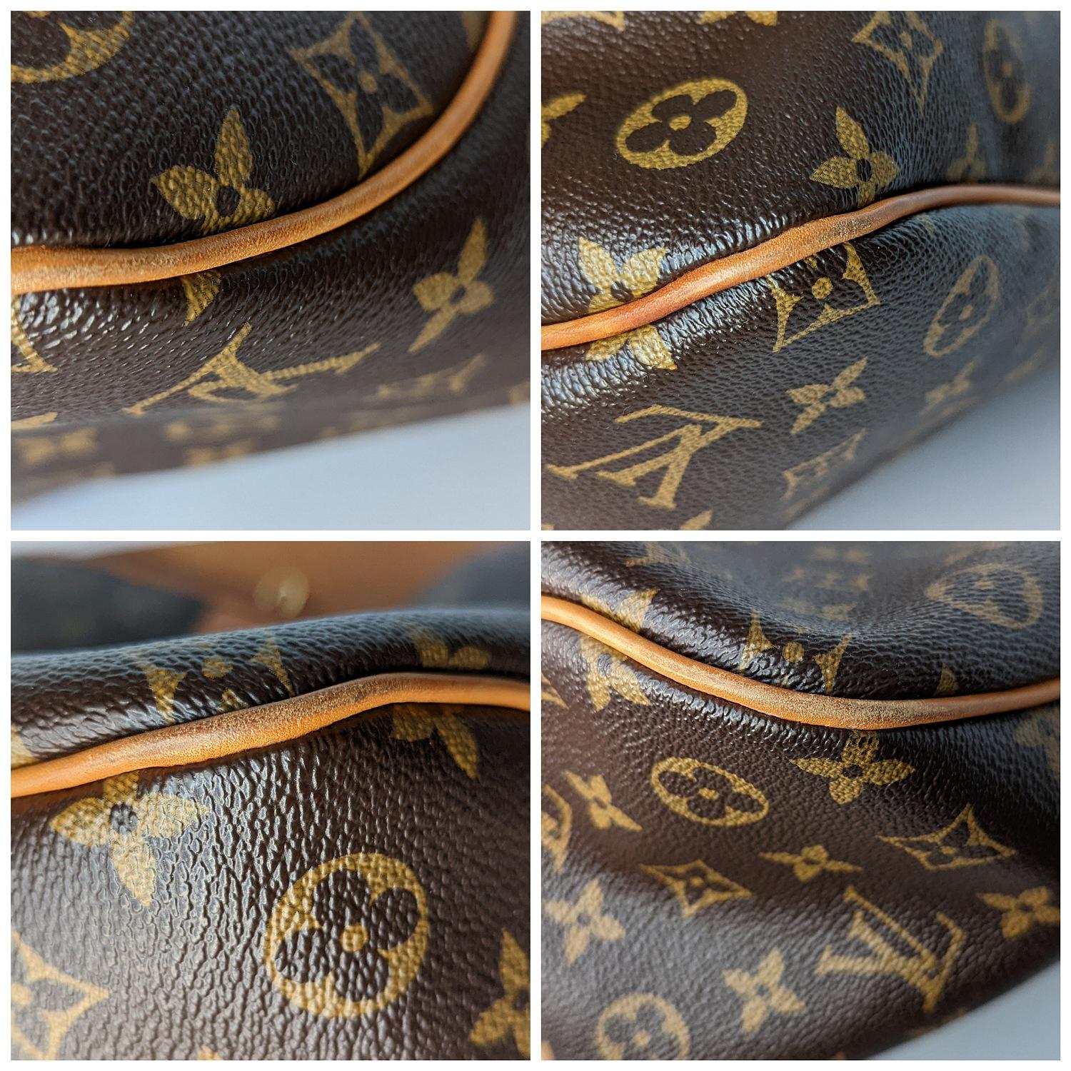 Louis Vuitton Monogram Canvas Delightful MM Hobo 3