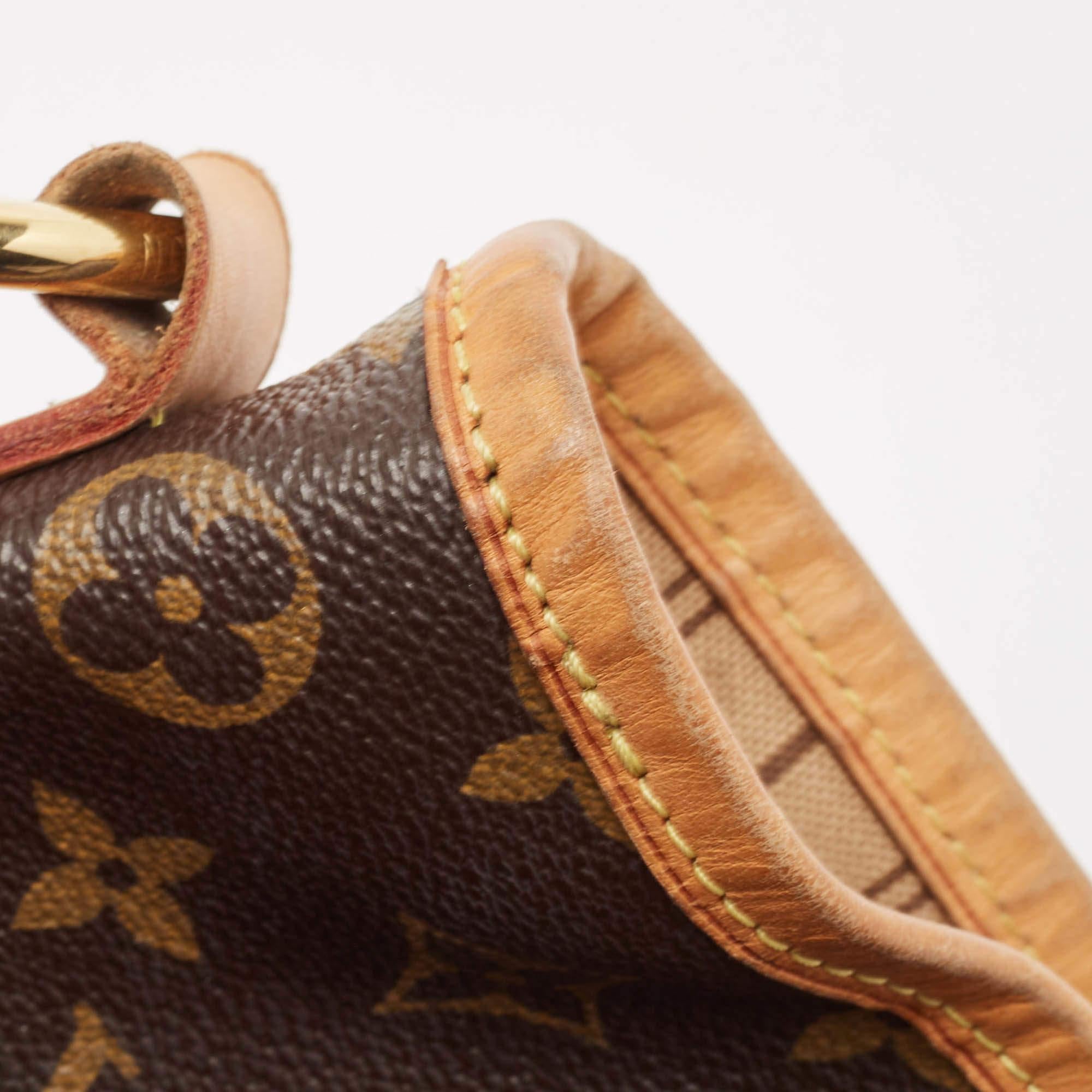 Louis Vuitton Monogram Canvas Delightful PM Bag 2