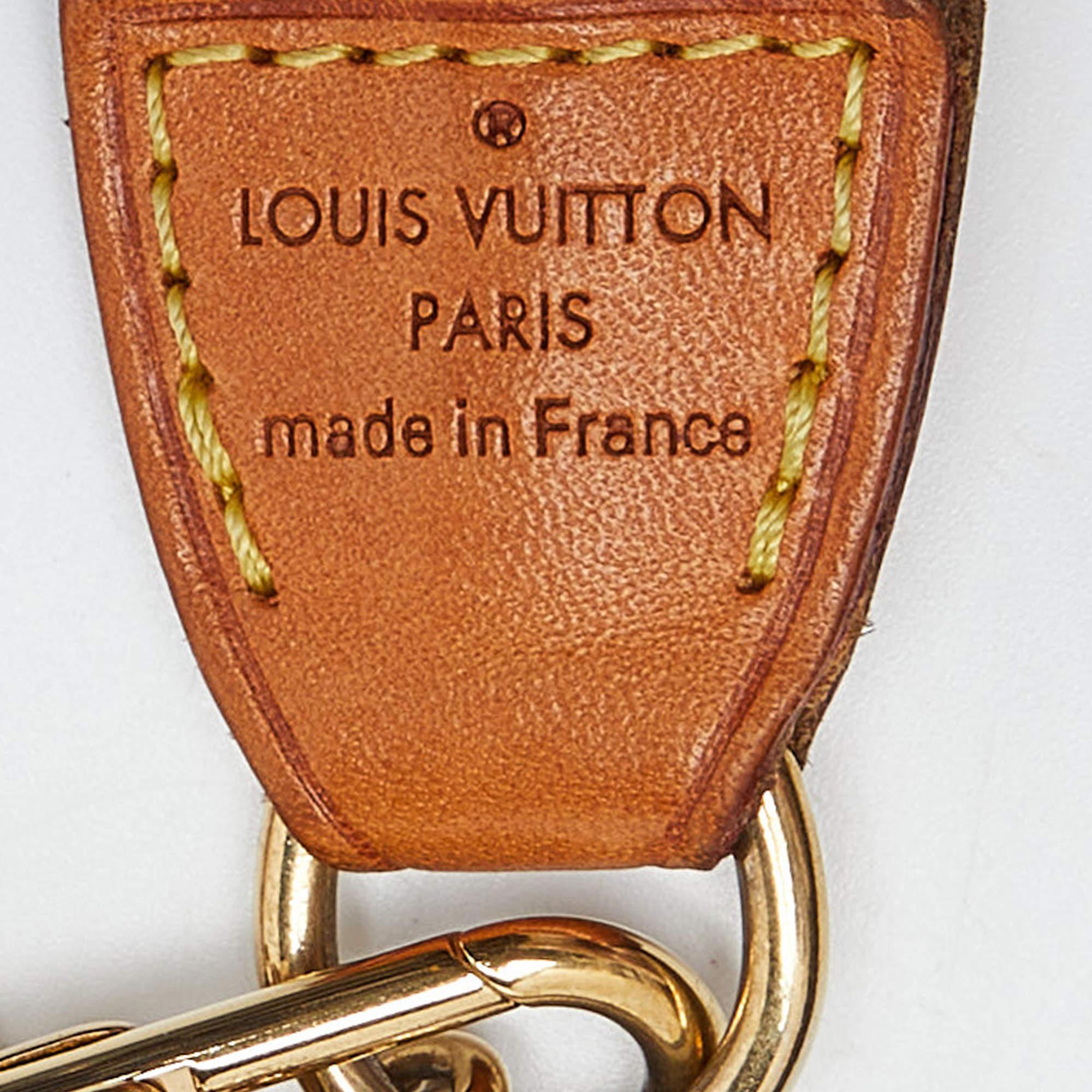 Louis Vuitton Monogram Canvas Eva Pochette Bag 6