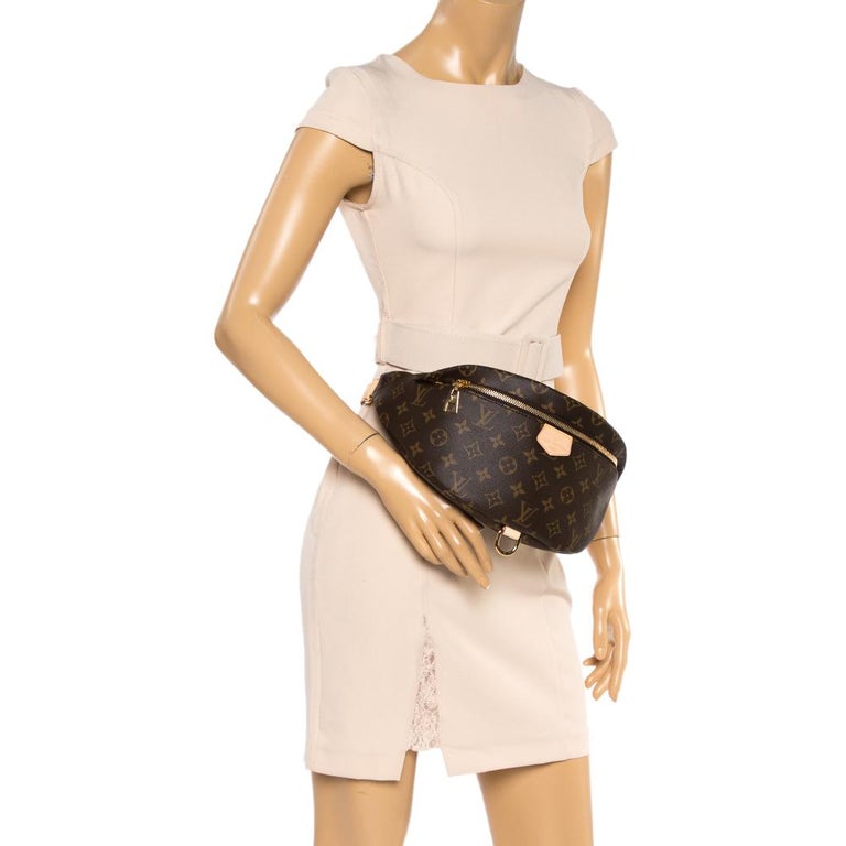 Louis Vuitton Monogram Canvas Fanny Pack Bumbag at 1stDibs