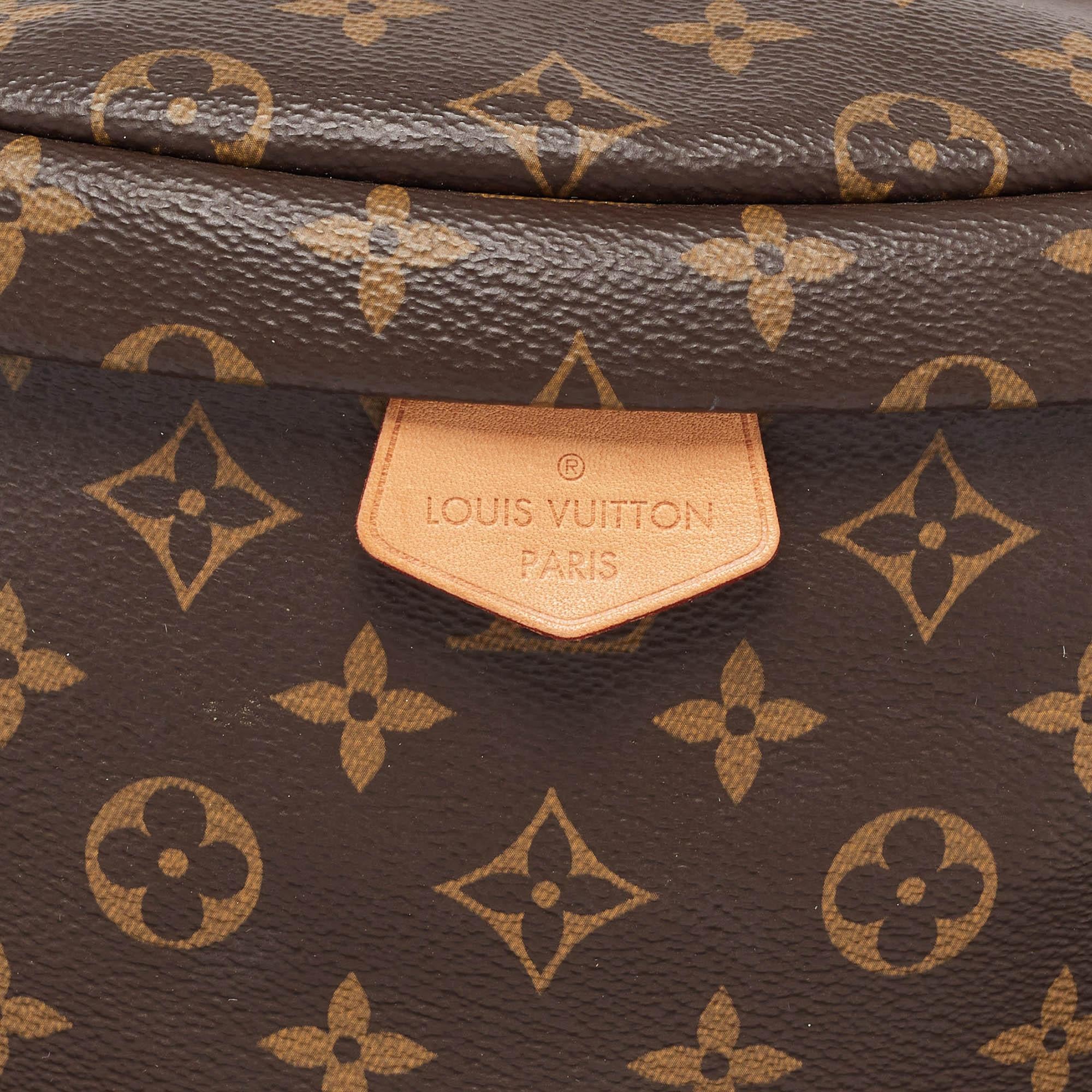 Women's Louis Vuitton Monogram Canvas Fanny Pack Bumbag
