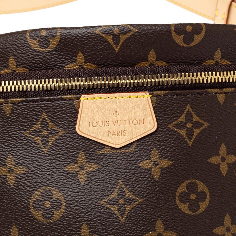 Louis Vuitton Monogram Canvas Fanny Pack Bumbag at 1stDibs