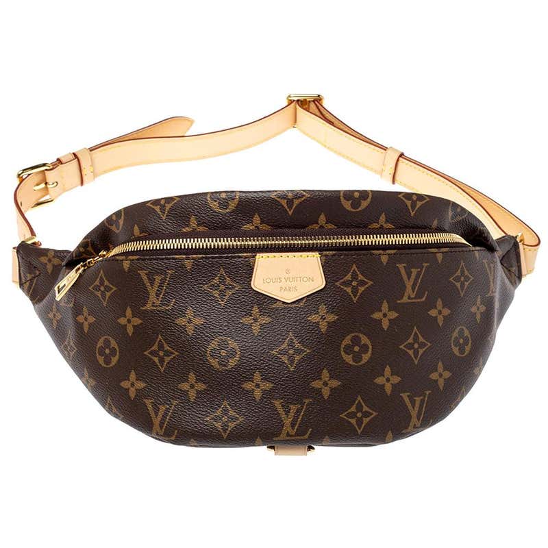 Louis Vuitton Monogram Canvas Fanny Pack Bumbag at 1stDibs