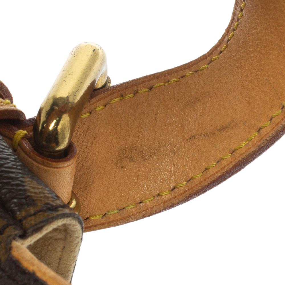 Louis Vuitton Monogram Canvas Hudson PM Bag 4