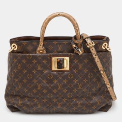 Louis Vuitton Monogrammierte Canvas Limited Edition Etoile Exotique GM Tasche aus Segeltuch