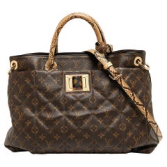 Louis Vuitton Monogrammierte Canvas Limited Edition Etoile Exotique GM Tasche aus Segeltuch