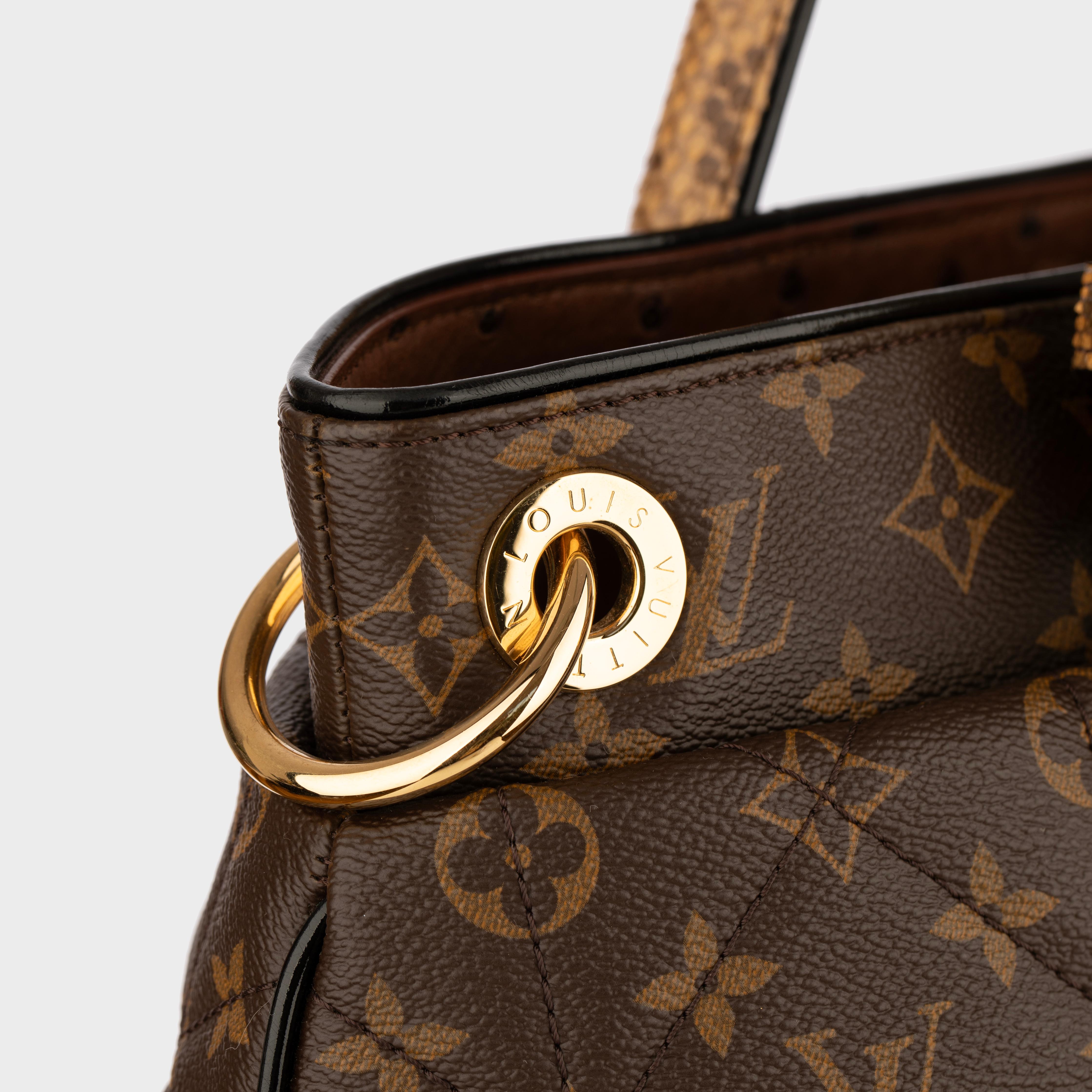 Louis Vuitton Borsa in tela Monogram Edizione Limitata Etoile Exotique GM in vendita 14