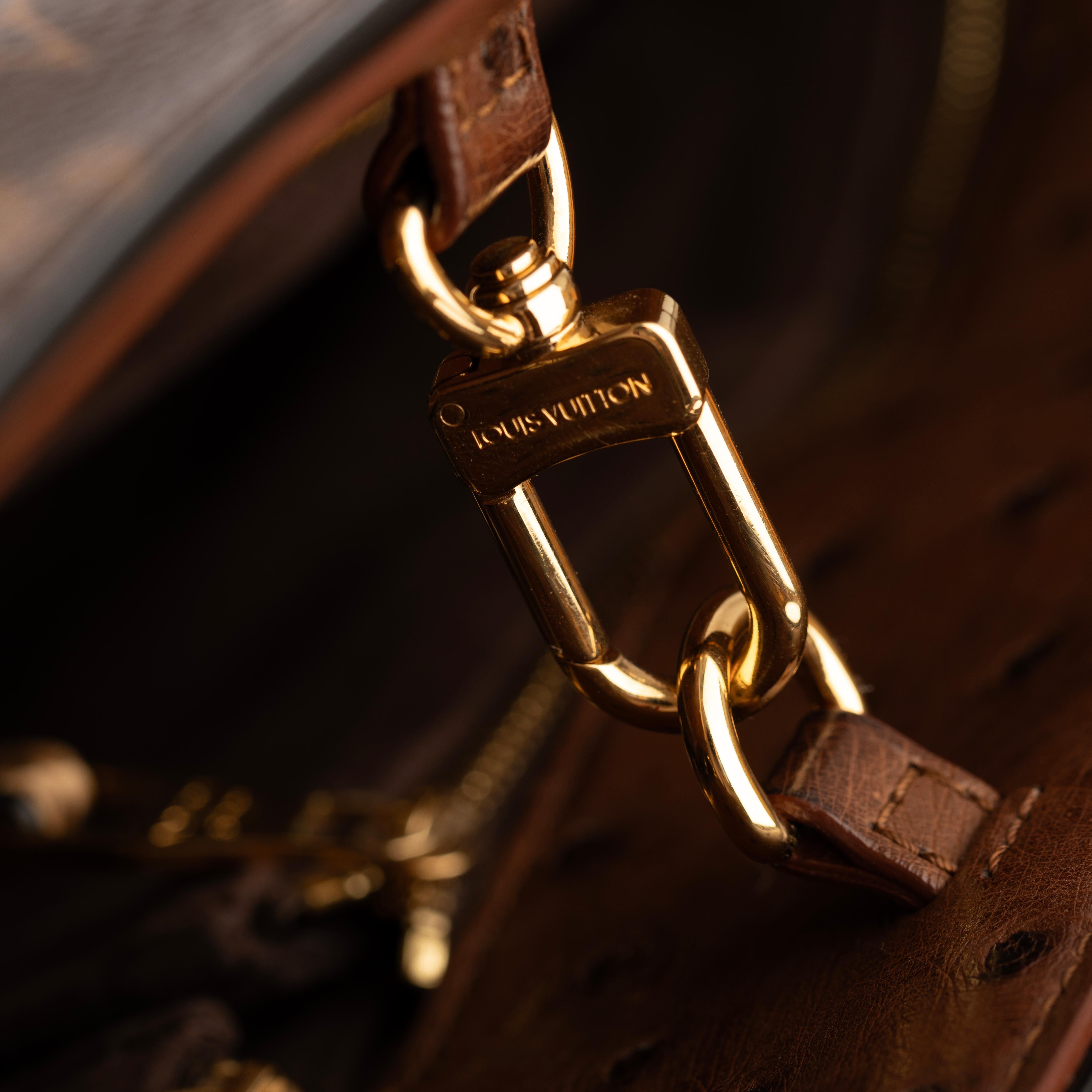 Louis Vuitton Borsa in tela Monogram Edizione Limitata Etoile Exotique GM in vendita 4