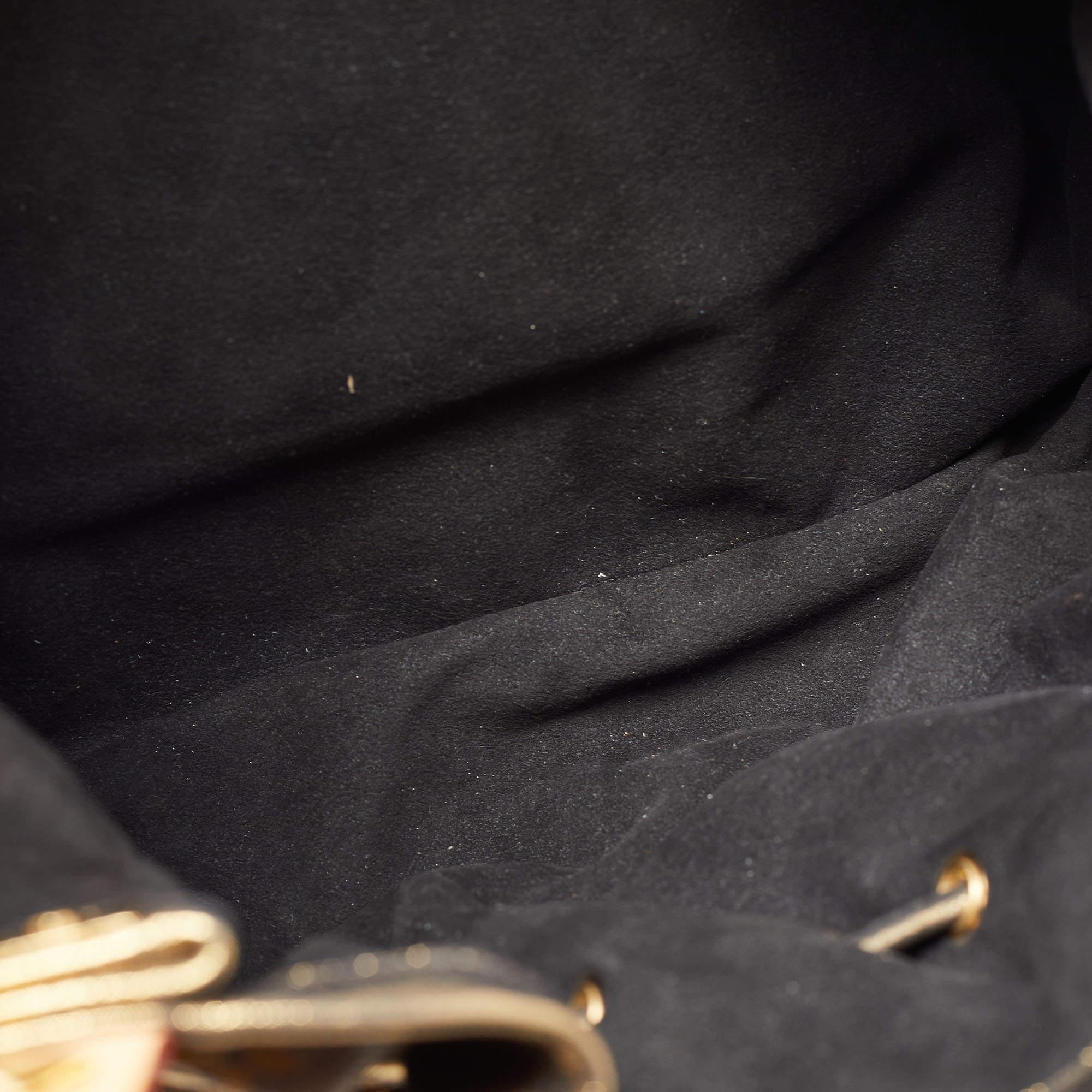 Louis Vuitton Monogram Canvas Limited Edition Irene Bag 1