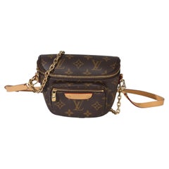Louis Vuitton Monogram Canvas Mini Bumbag