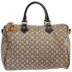 Louis Vuitton Monogram Canvas Mini Lin Speedy 30 Bag