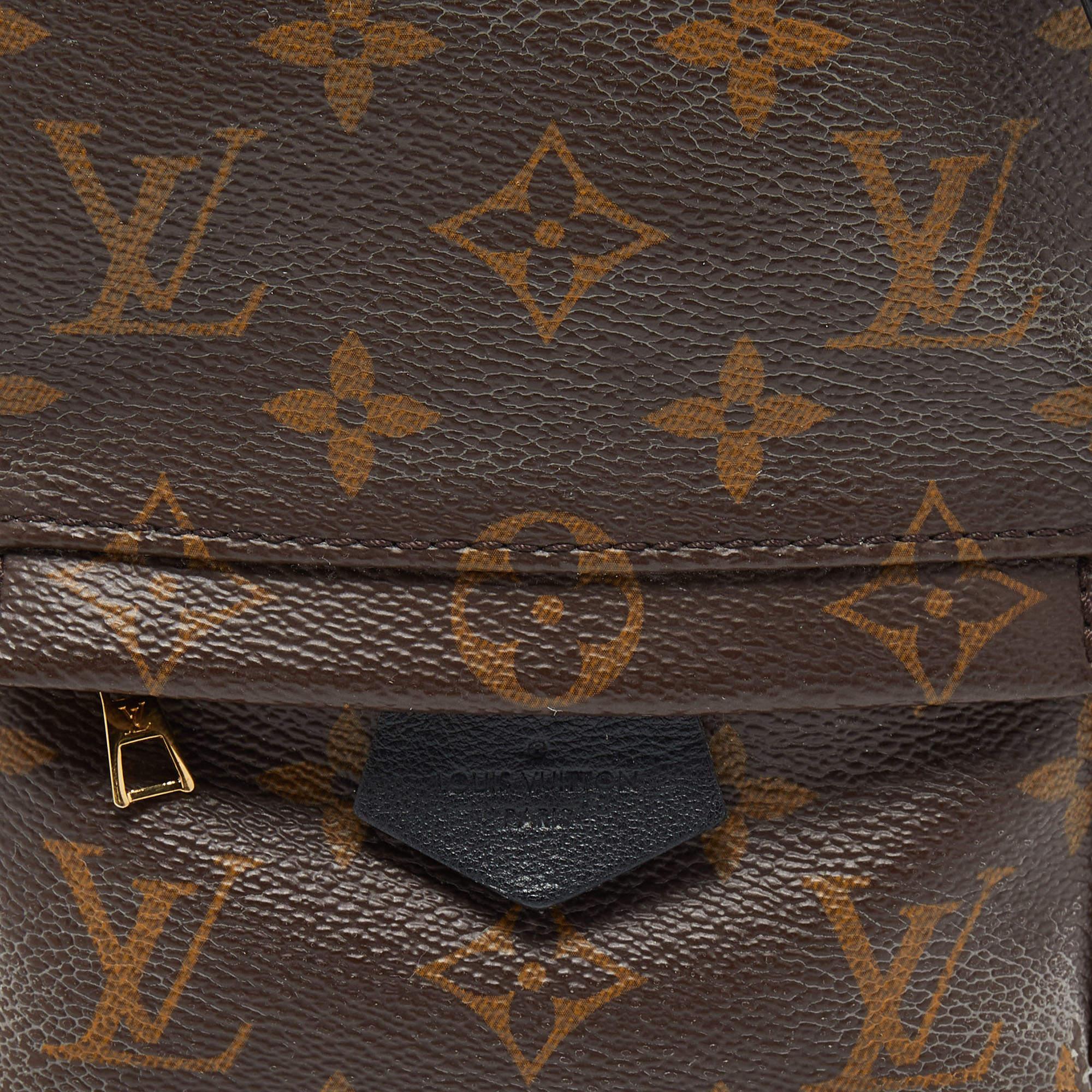 Louis Vuitton Monogram Canvas Mini Palm Springs Backpack 4