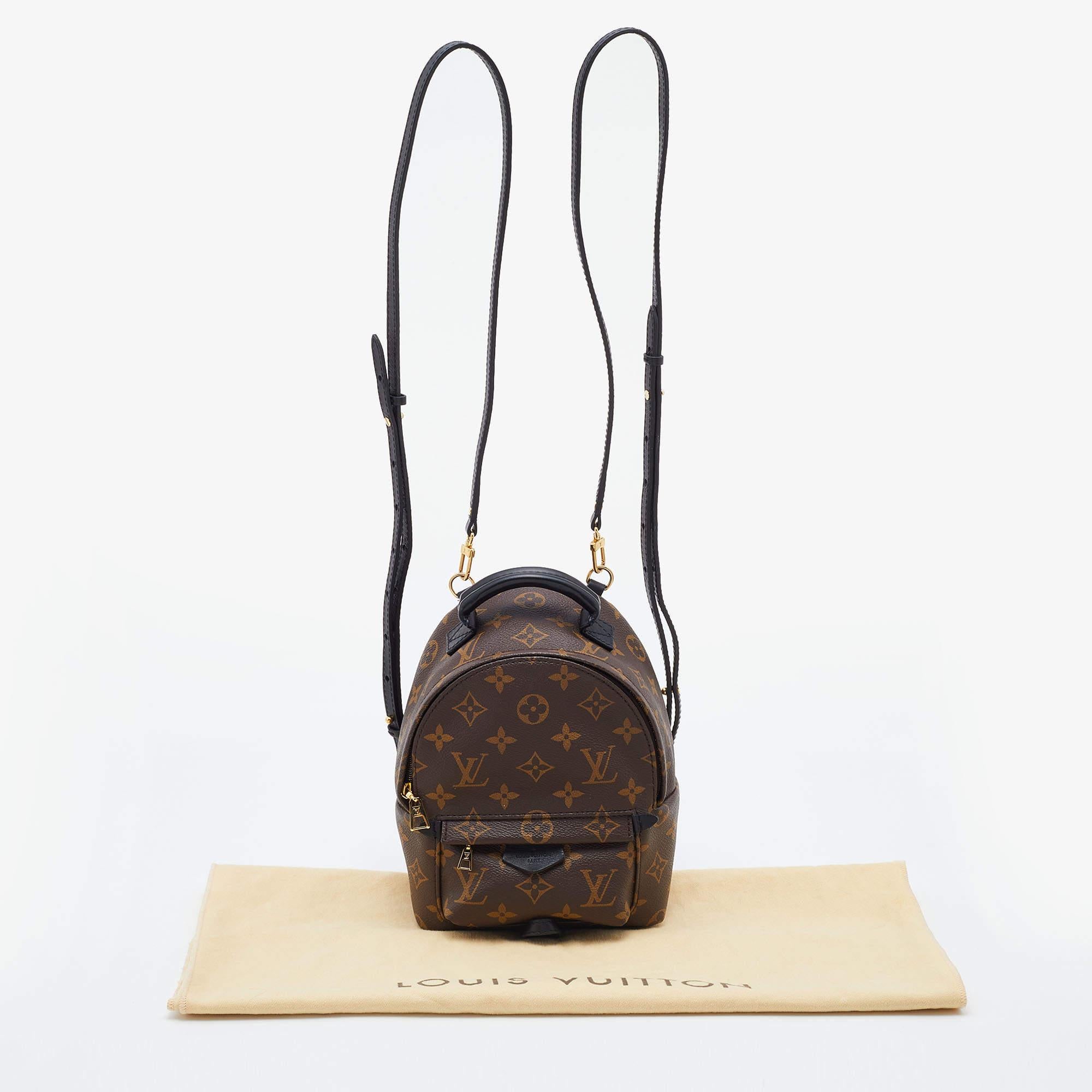 Mini Spring Backpacks Louis Vuitton Monogram Canvas Mini Palm Springs Backpack at 1stDibs