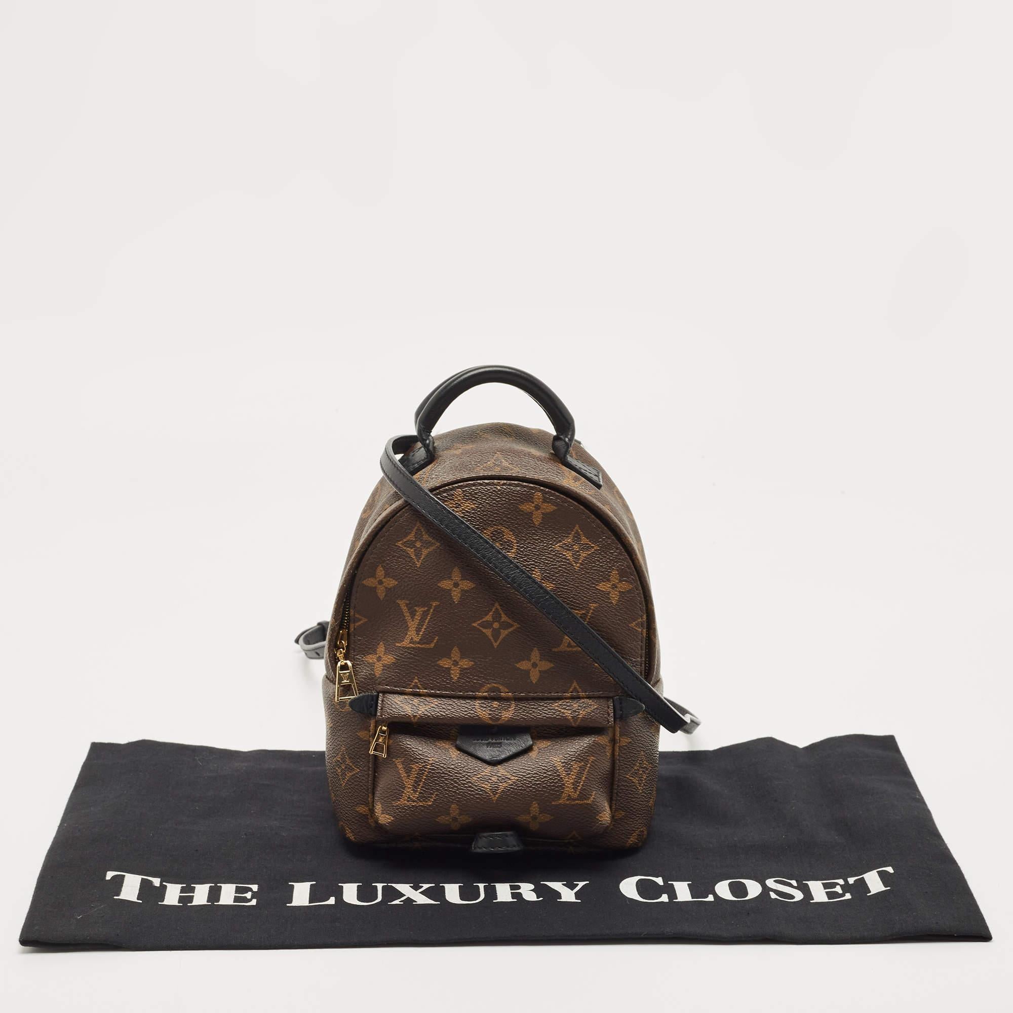 Louis Vuitton Monogram Canvas Mini Palm Springs Backpack 12