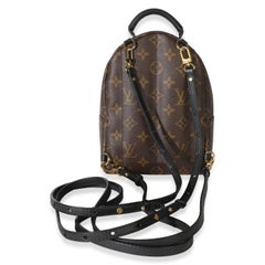 Louis Vuitton Monogram Canvas Mini Palm Springs Backpack