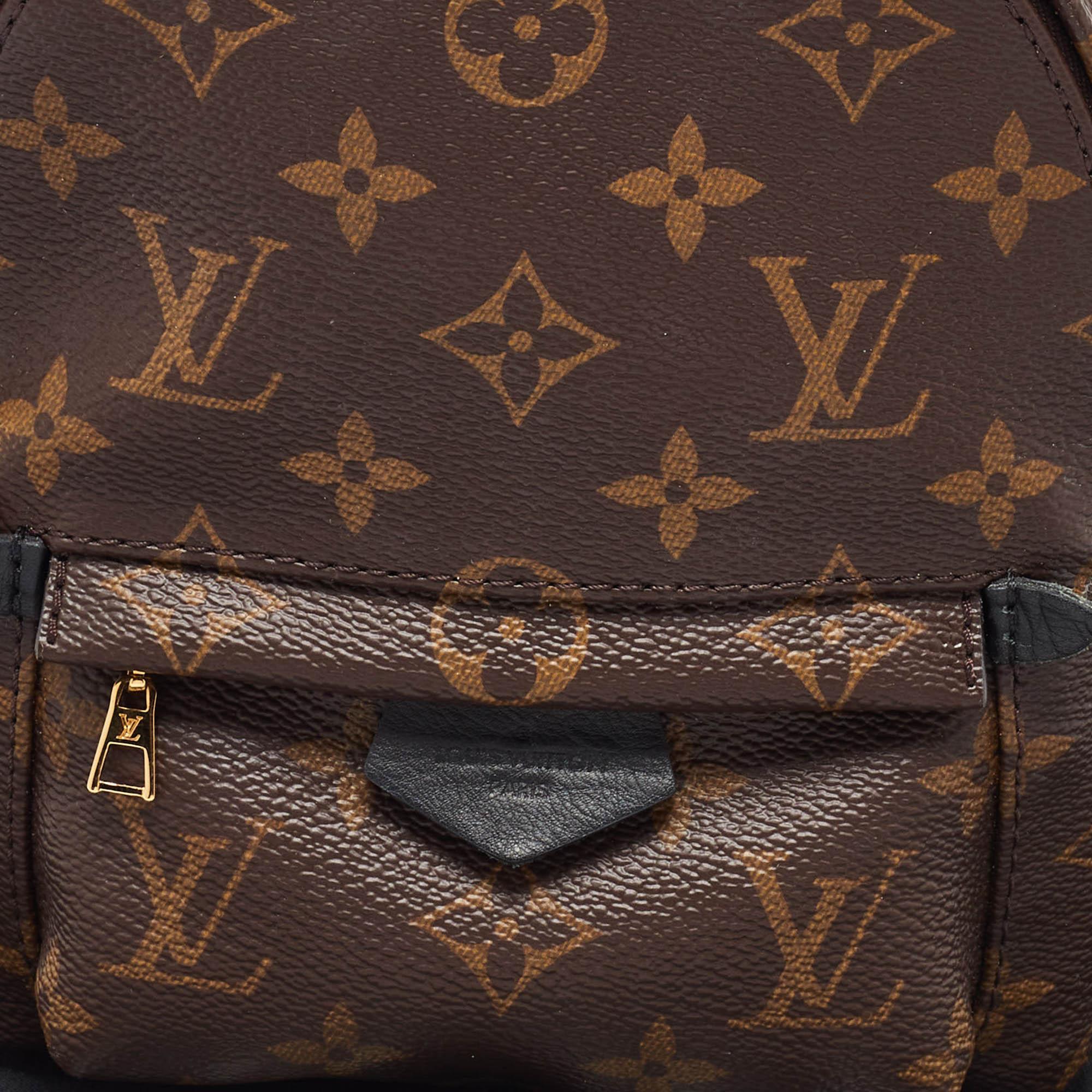 Women's Louis Vuitton Monogram Canvas Mini Palm Springs Backpack