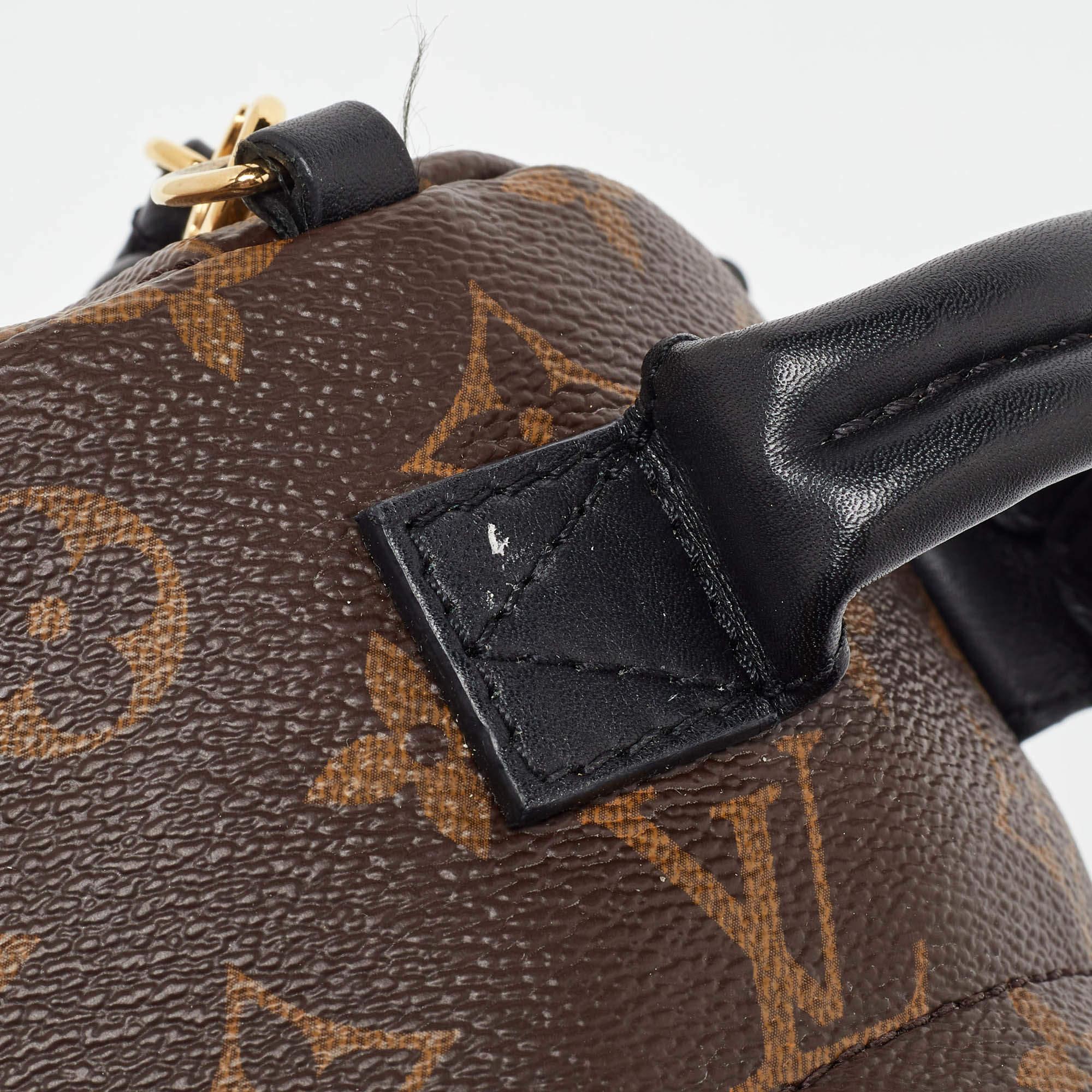 Louis Vuitton Monogram Canvas Mini Palm Springs Backpack 1