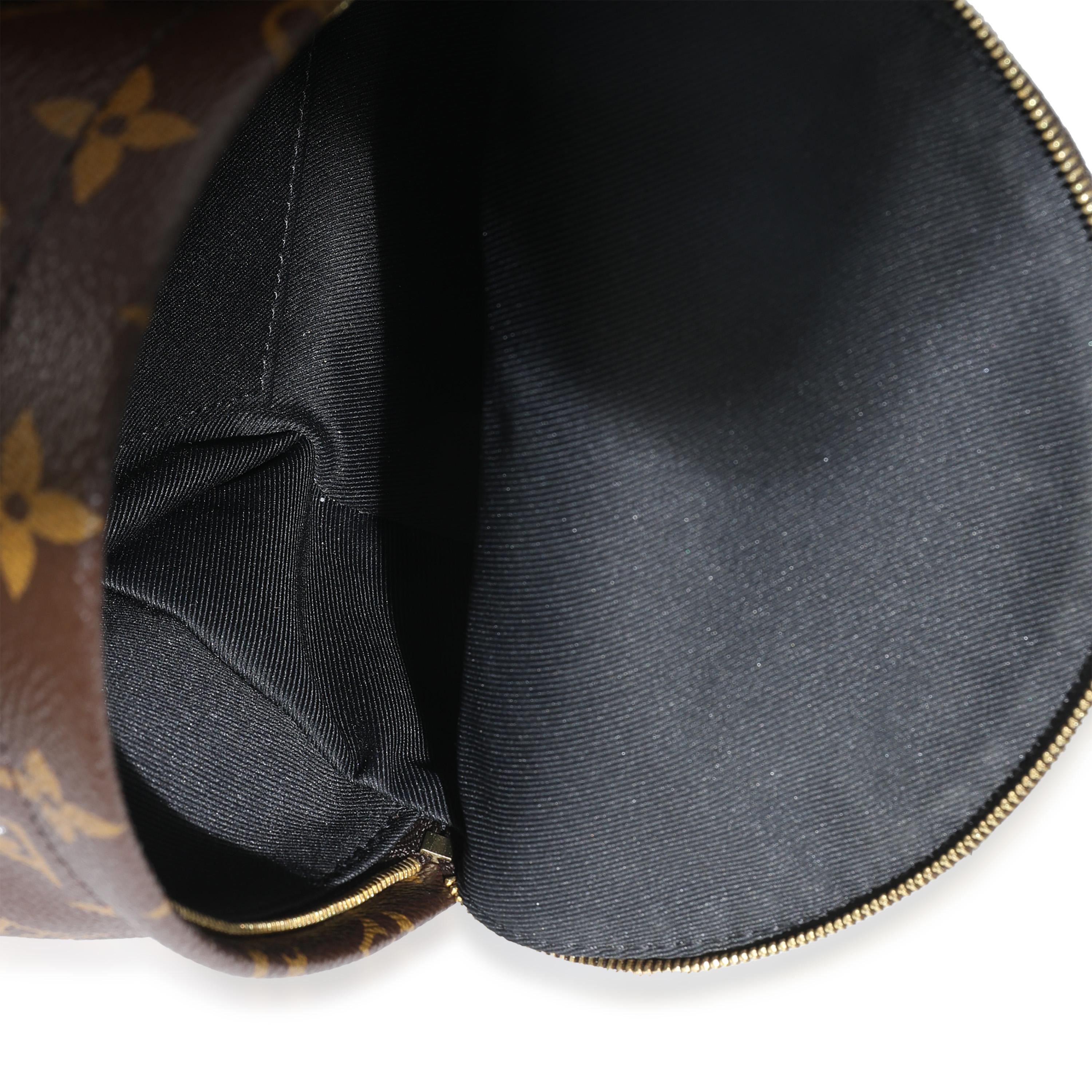 Louis Vuitton - Mini sac à dos Palm Springs en toile avec monogramme en vente 1