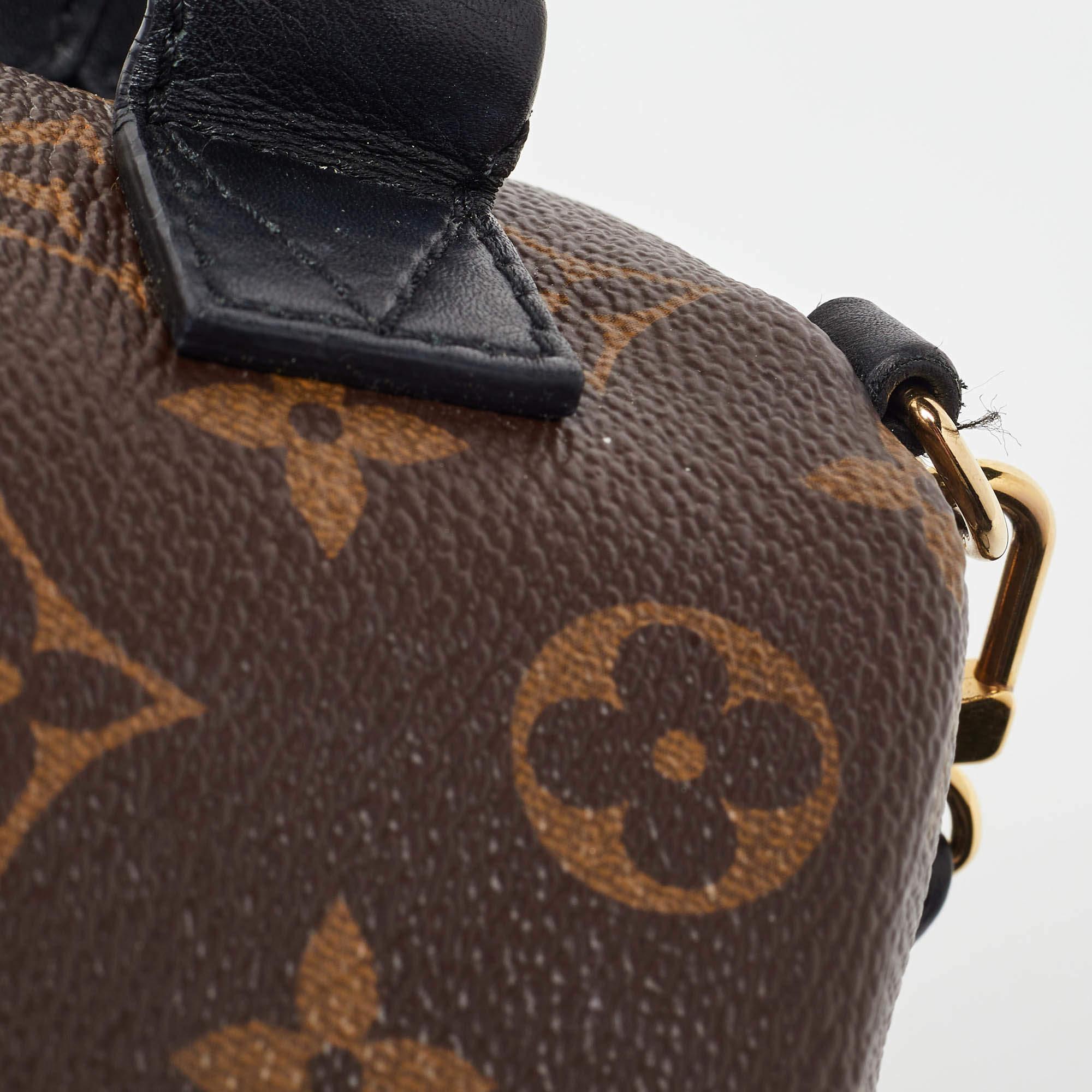 Louis Vuitton Monogram Canvas Mini Palm Springs Backpack 2