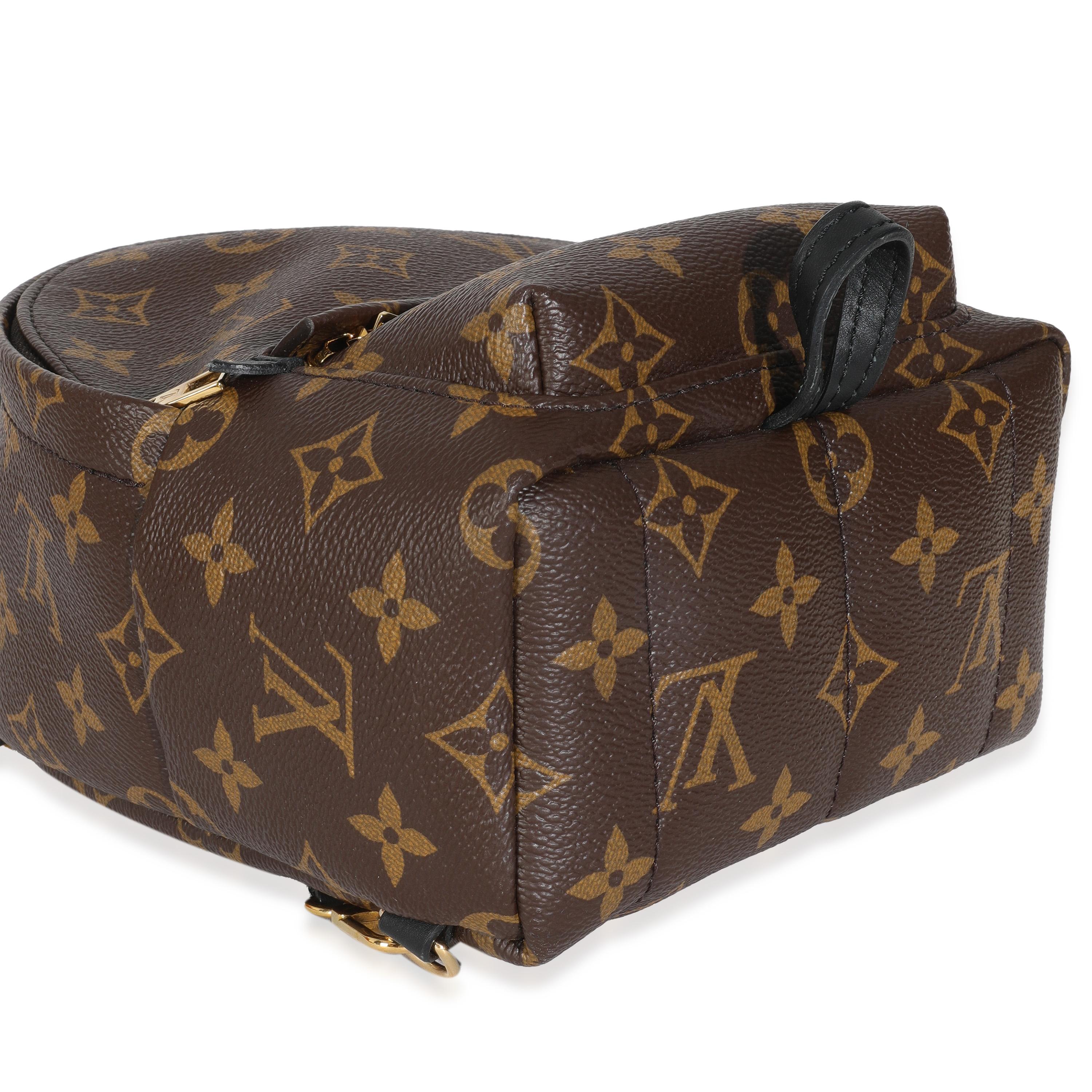 Louis Vuitton - Mini sac à dos Palm Springs en toile avec monogramme en vente 2