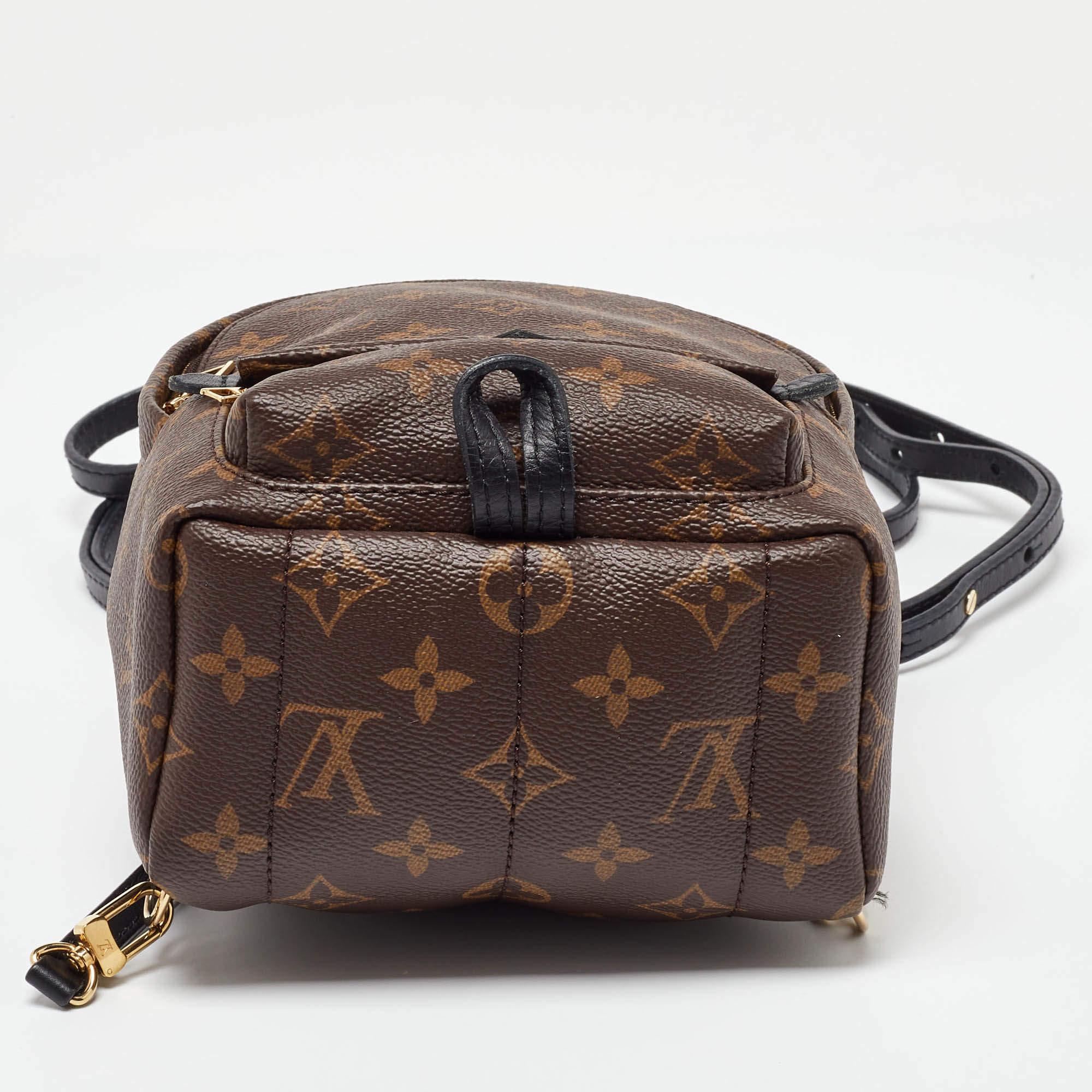 Louis Vuitton Monogram Canvas Mini Palm Springs Backpack 3