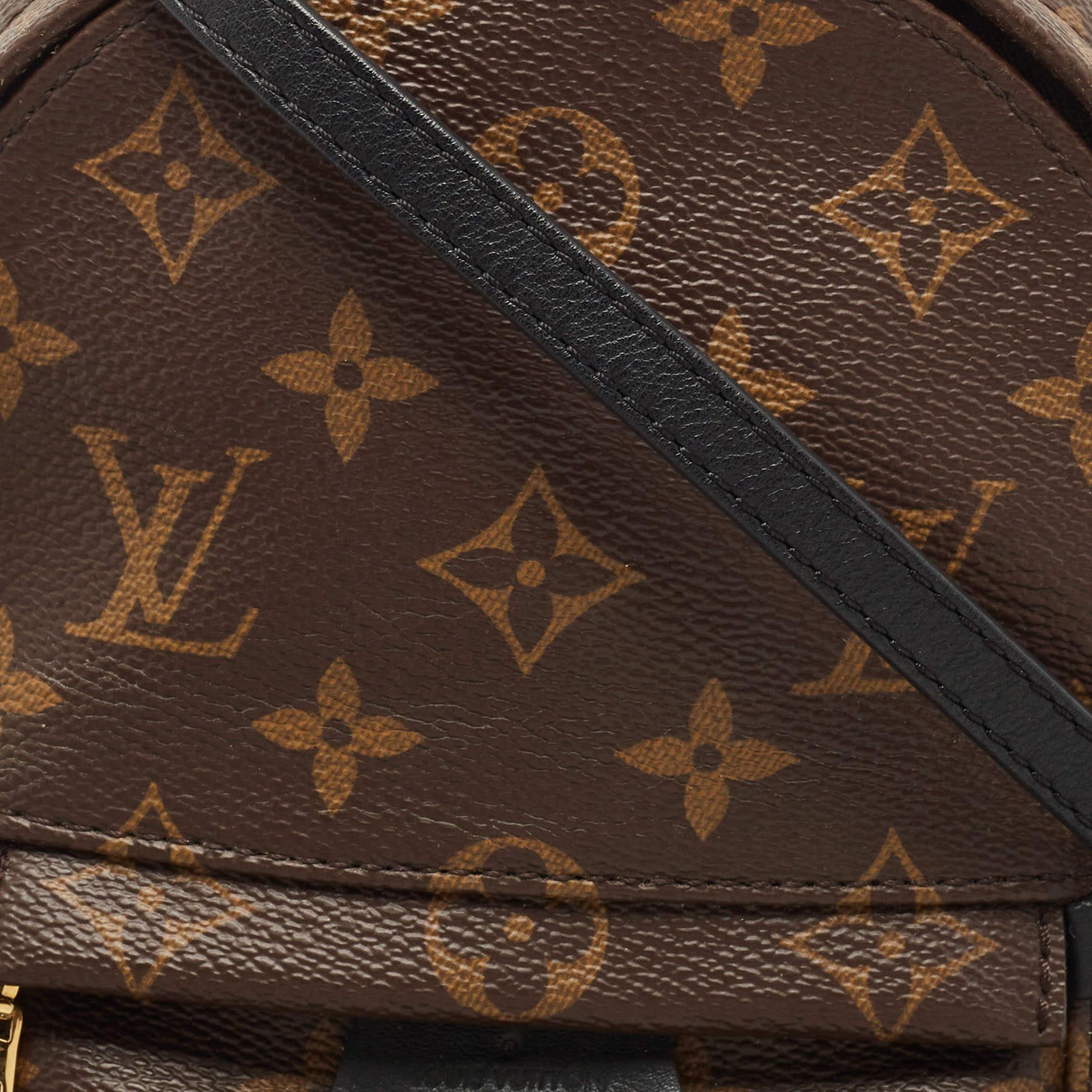 Louis Vuitton Monogram Canvas Mini Palm Springs Backpack 4