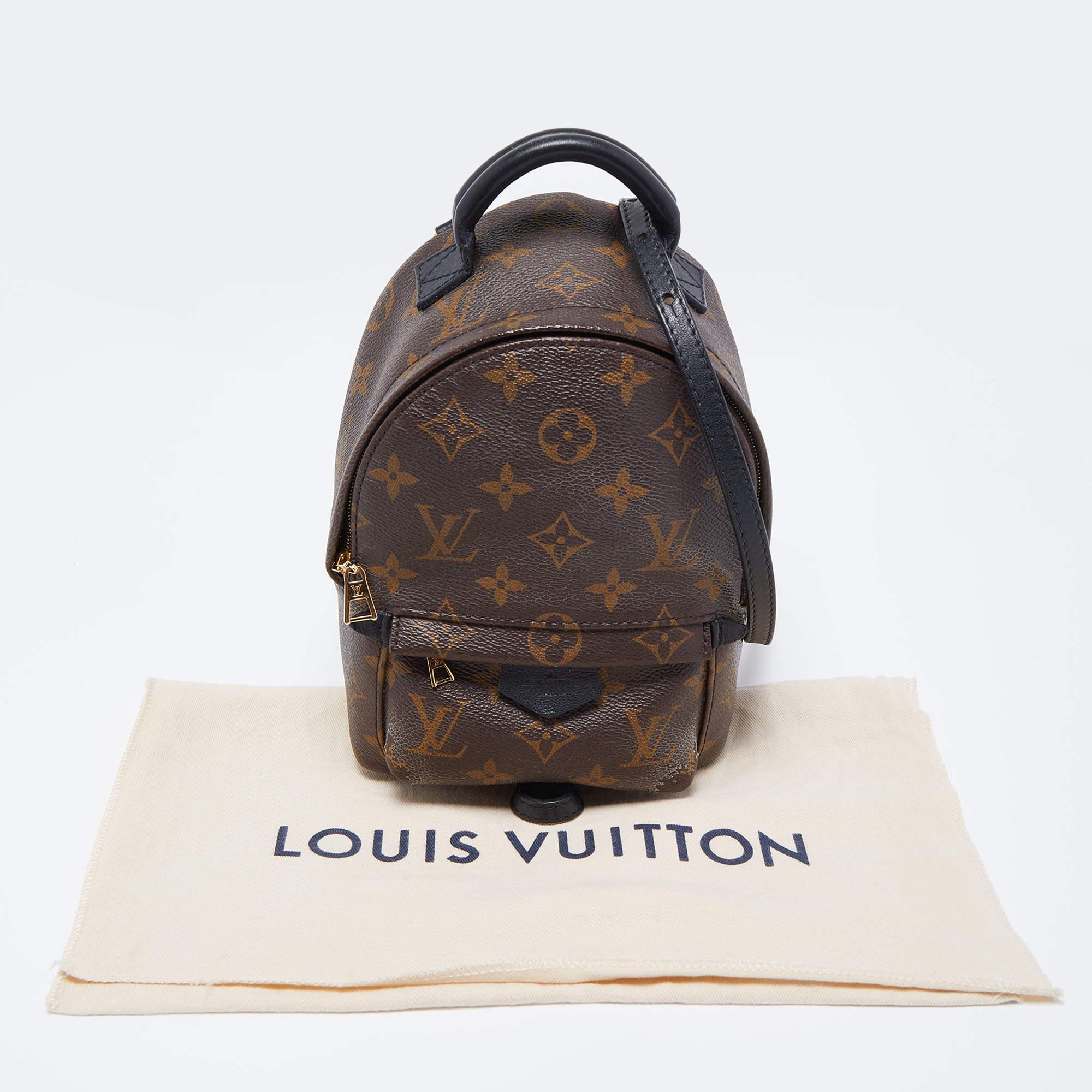 Louis Vuitton Monogram Canvas Mini Palm Springs Backpack 3