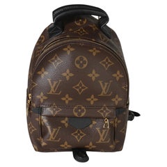 Louis Vuitton Monogram Canvas Mini Palm Springs Backpack
