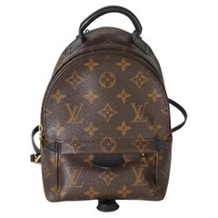 Louis Vuitton Monogram Canvas Mini Palm Springs Backpack
