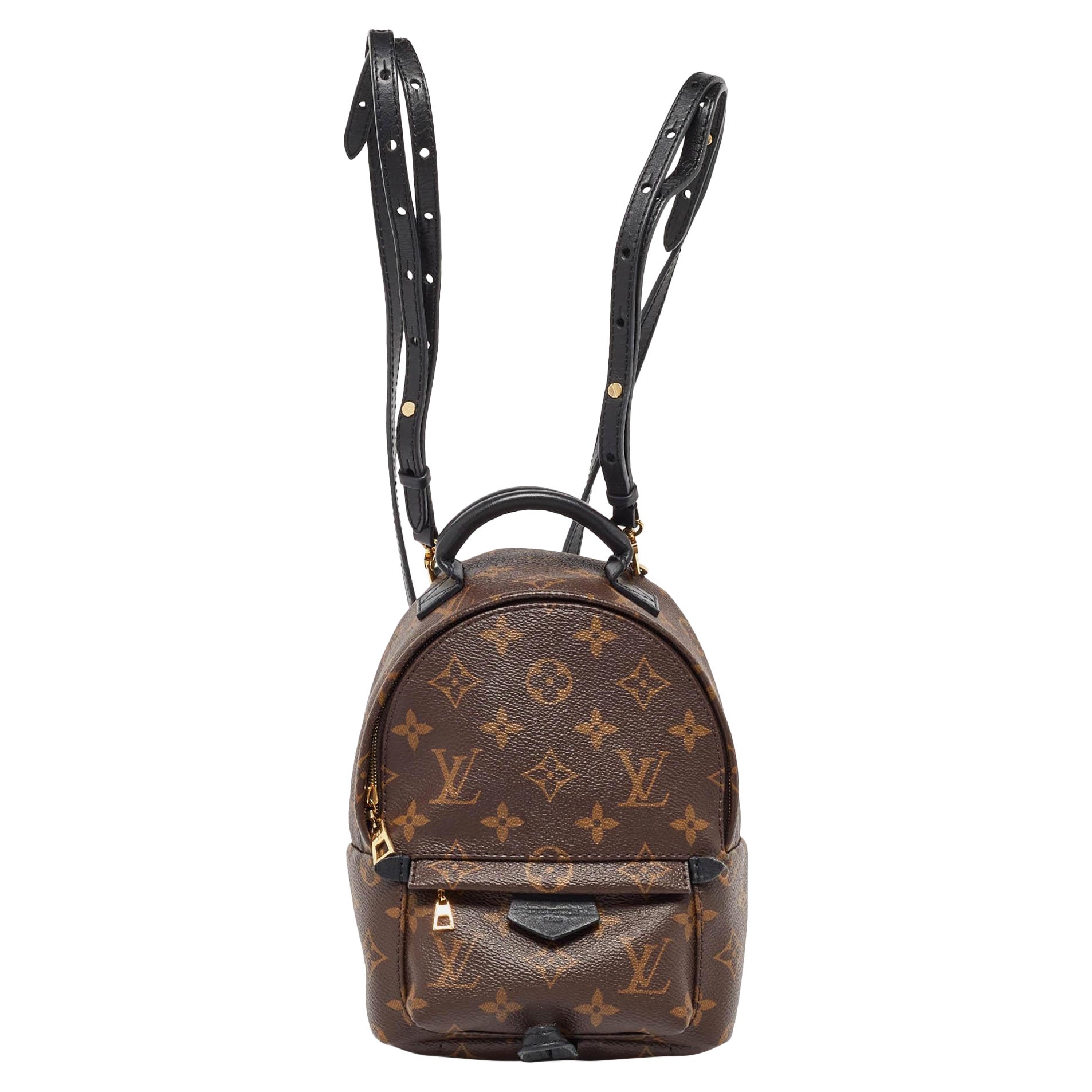 Louis Vuitton Monogram Canvas Mini Palm Springs Backpack