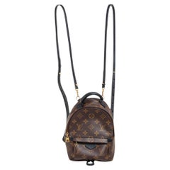 Louis Vuitton Monogram Canvas Mini Palm Springs Backpack