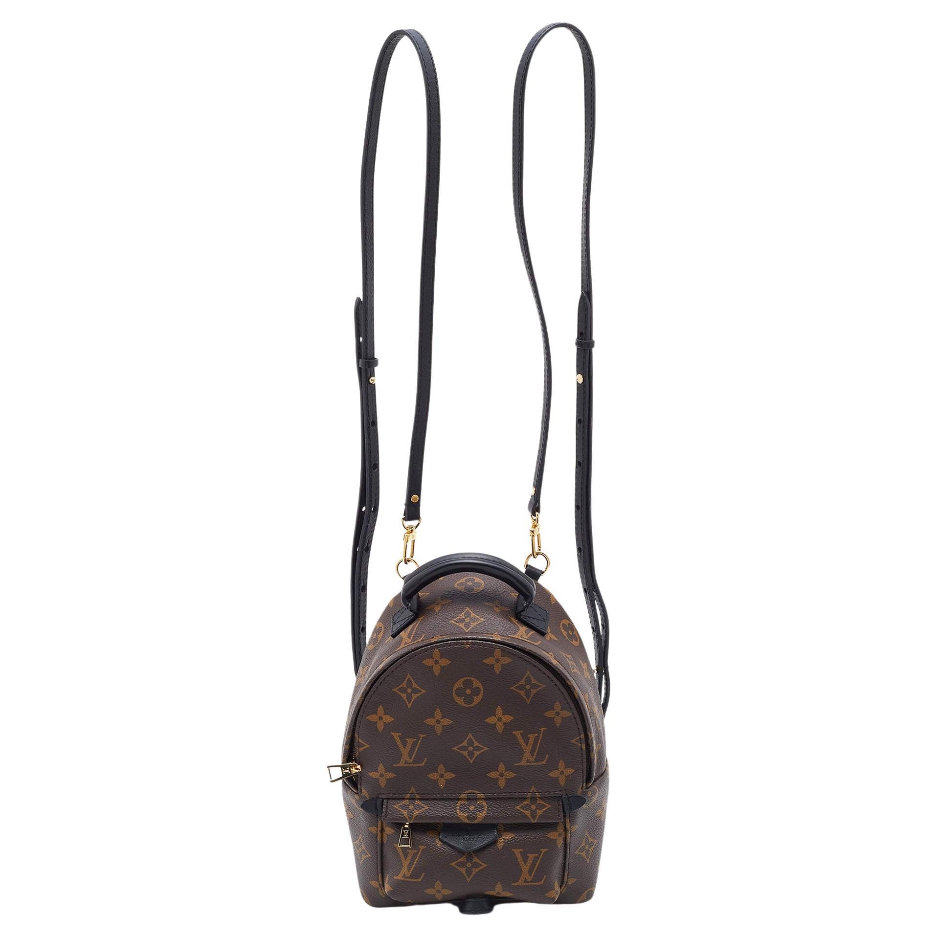 Louis Vuitton Canvas 2022 Monogram Mini Palm Springs Backpack/ Crossbody Bag