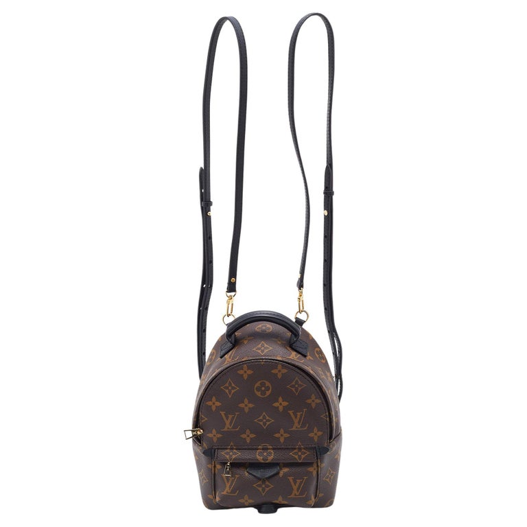 Louis Vuitton Monogram Canvas Mini Palm Springs Backpack at 1stDibs
