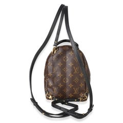Louis Vuitton Monogram Canvas Mini Palm Springs